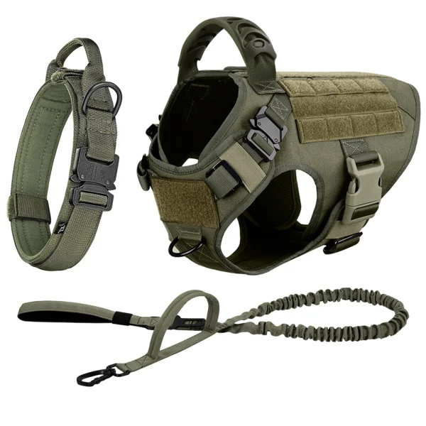 Large Dog Harness & Leash